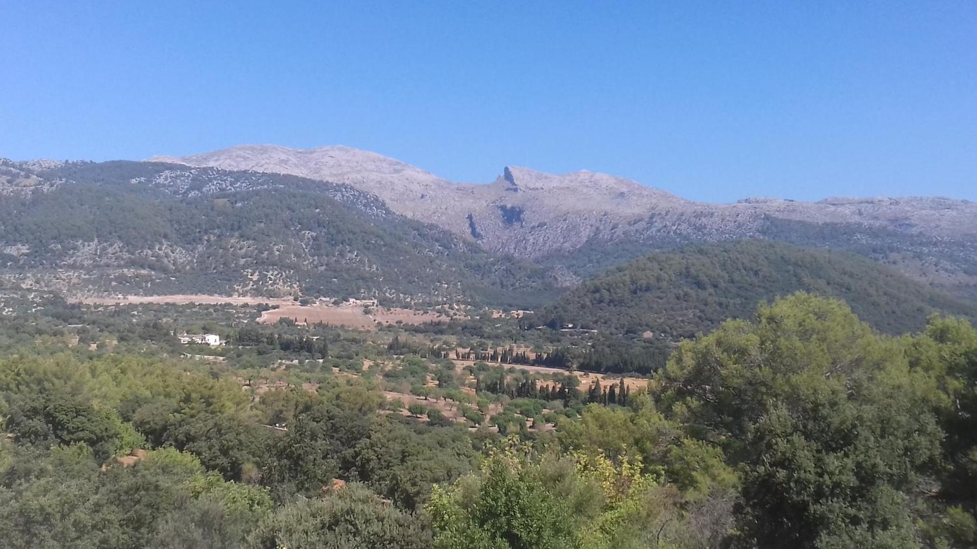 Domingo * Campanet